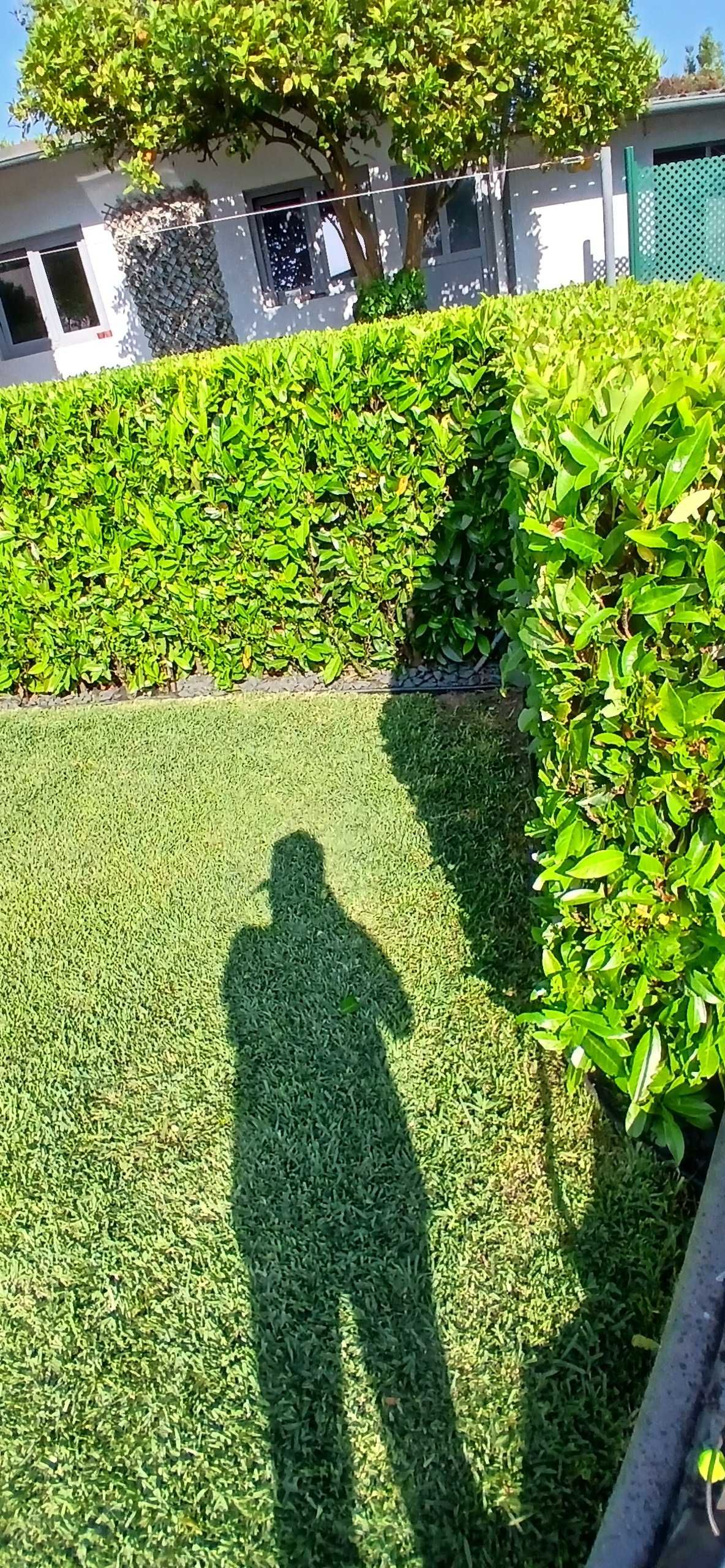 Manutenção de jardins