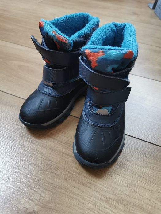 Śniegowce lupilu 28
