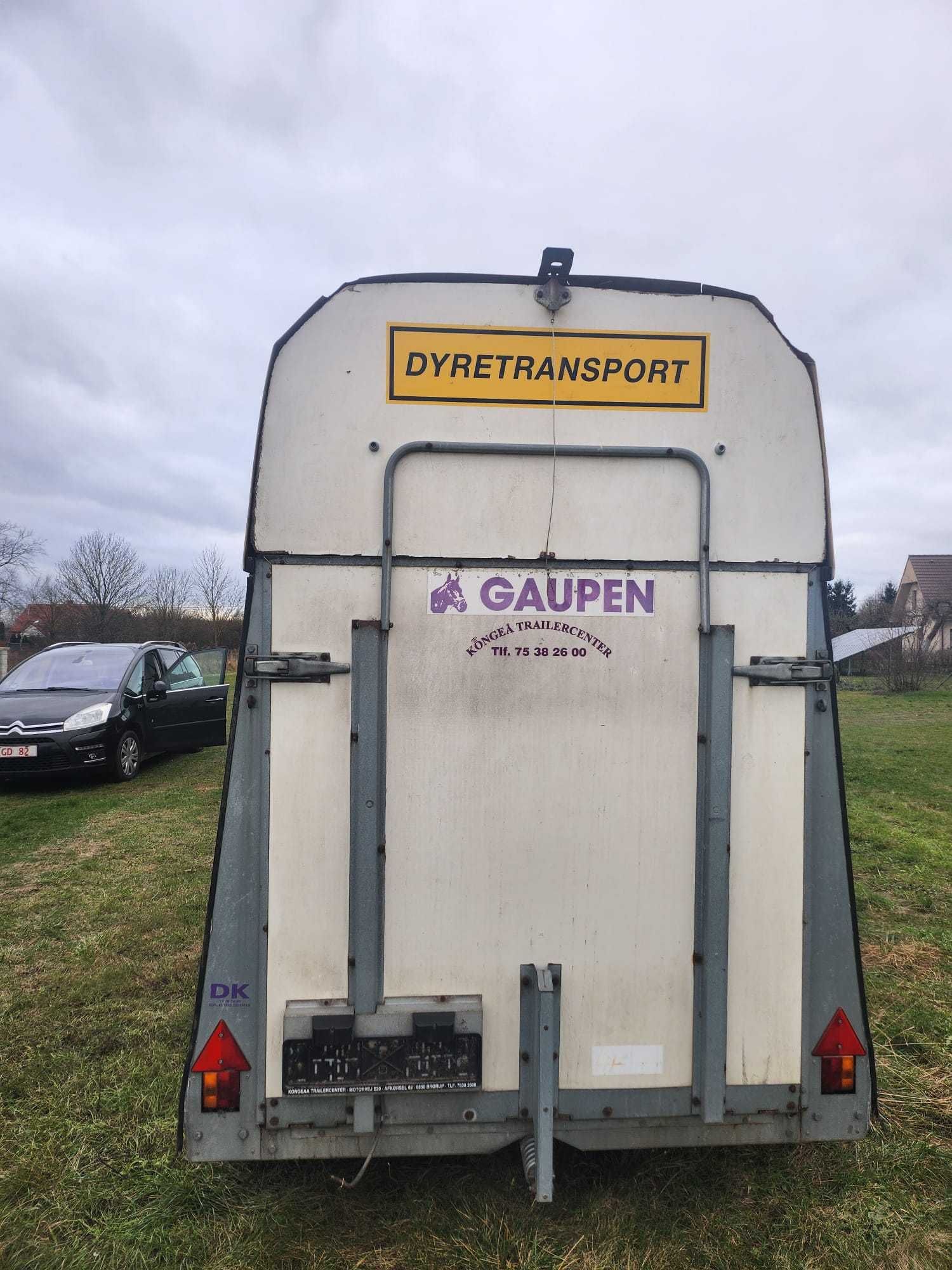 Przyczepa do przewozu Koni Gaupen