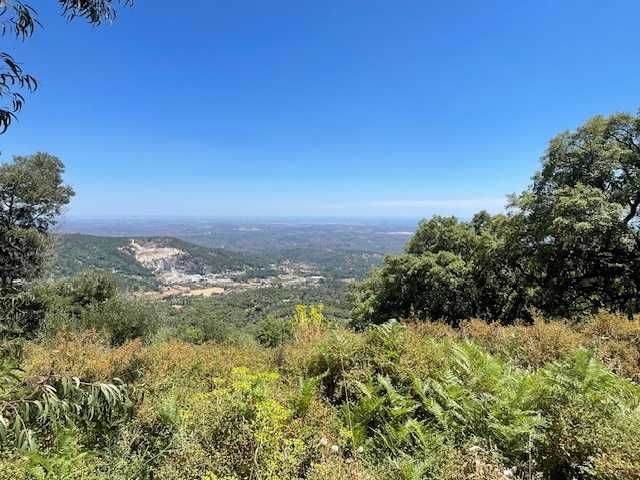 Terreno na Foia, Monchique