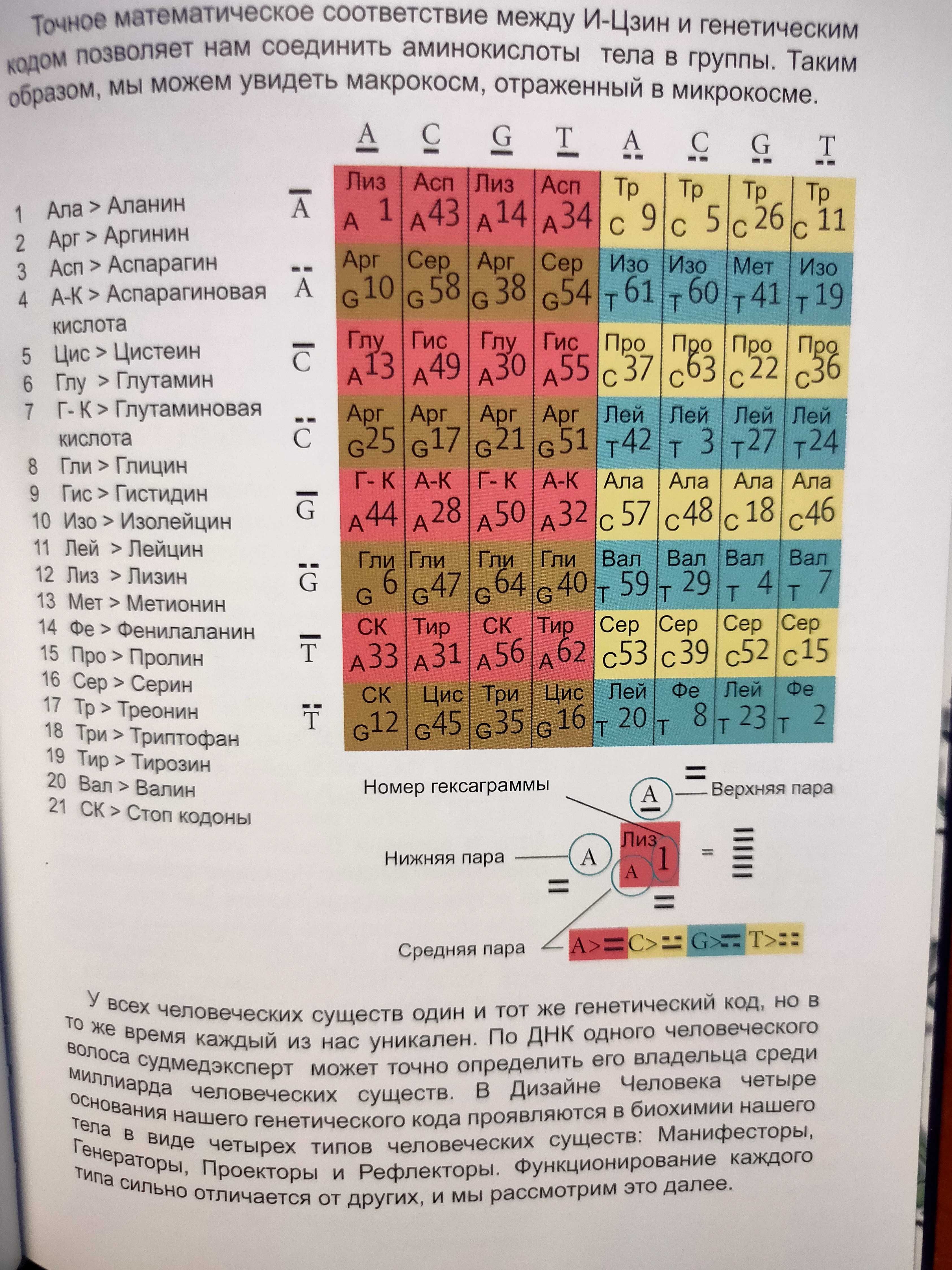 Ричард Радд. Ключ к Себе. Введение в Систему Дизайна Человека