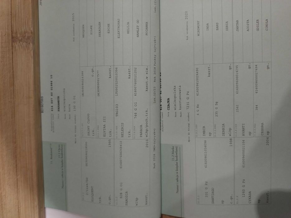 Sprzedam parę koni  kasztany