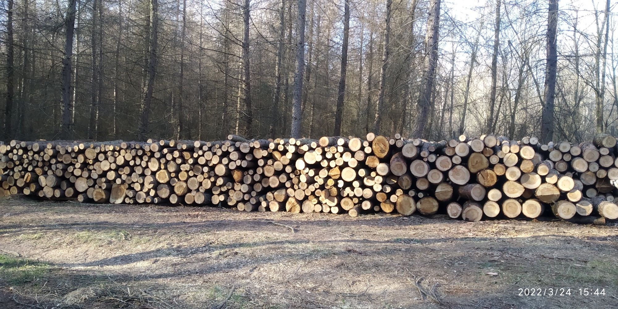 drewno opałowe, kominkowe