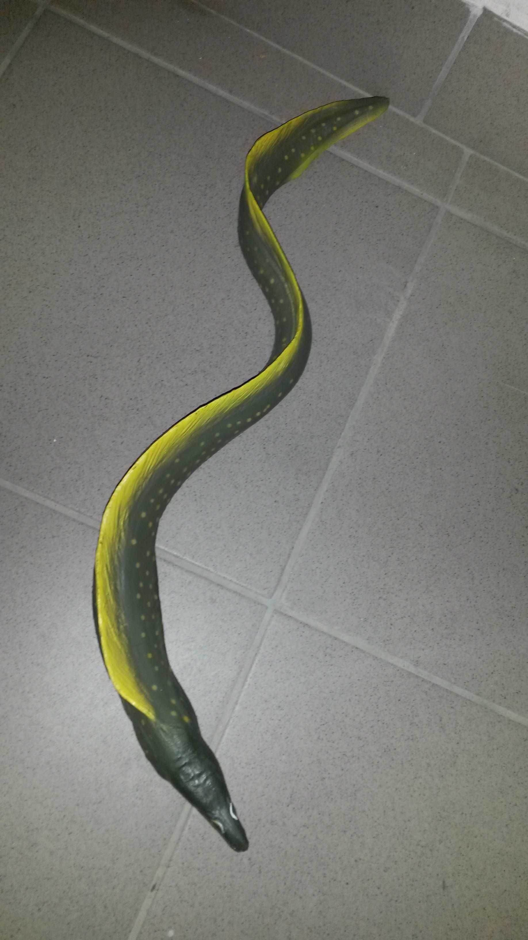 Ryba jak żywy węgorz Moray eel duży 50 cm do kolekcji