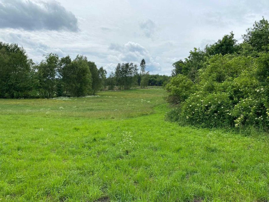 Działka siedliskowa w Wiele 1,72 ha, z wydanymi warunkami zabudowy.