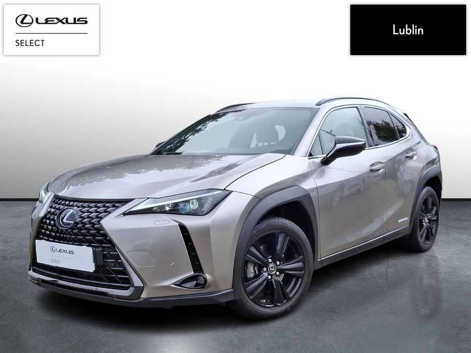Lexus UX Lexus UX 250H od Dealera