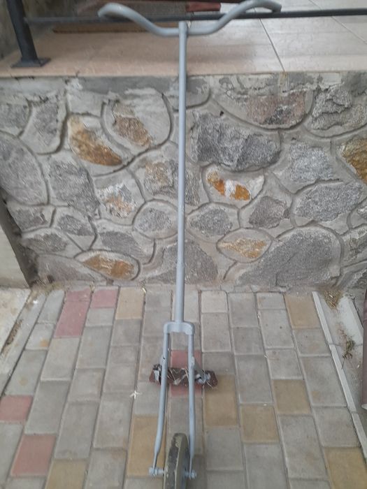 Просапник огородній