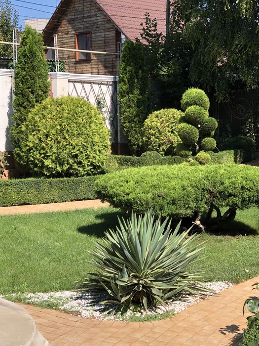 Садівник Петрович