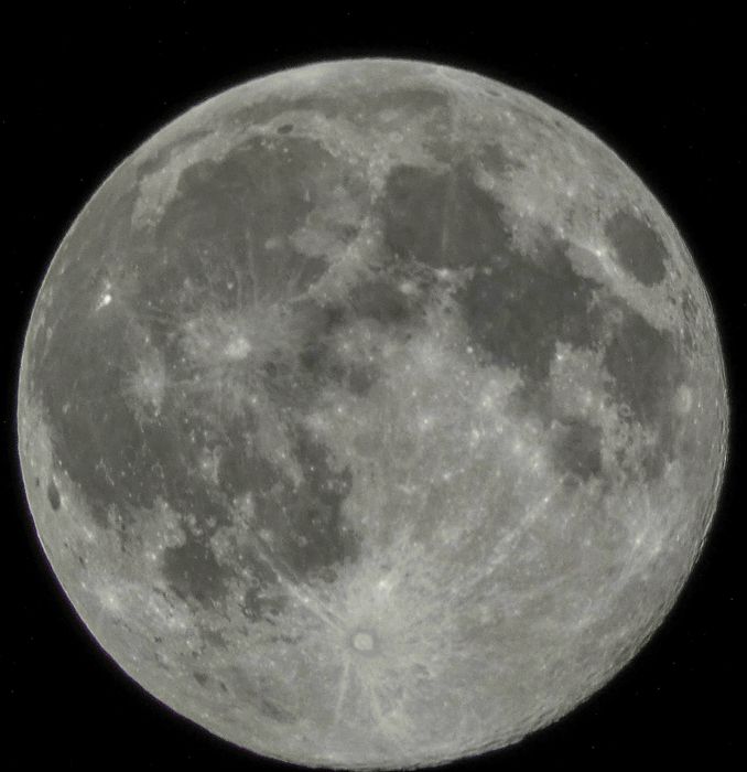 Panasonic Lumix DC-FZ81