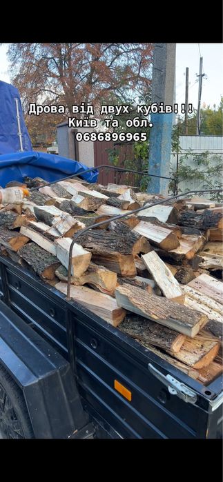 Дрова Київ та область от 2 м