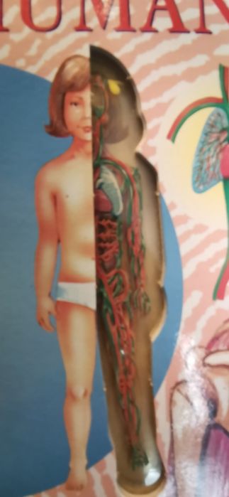 O meu primeiro livro do corpo humano