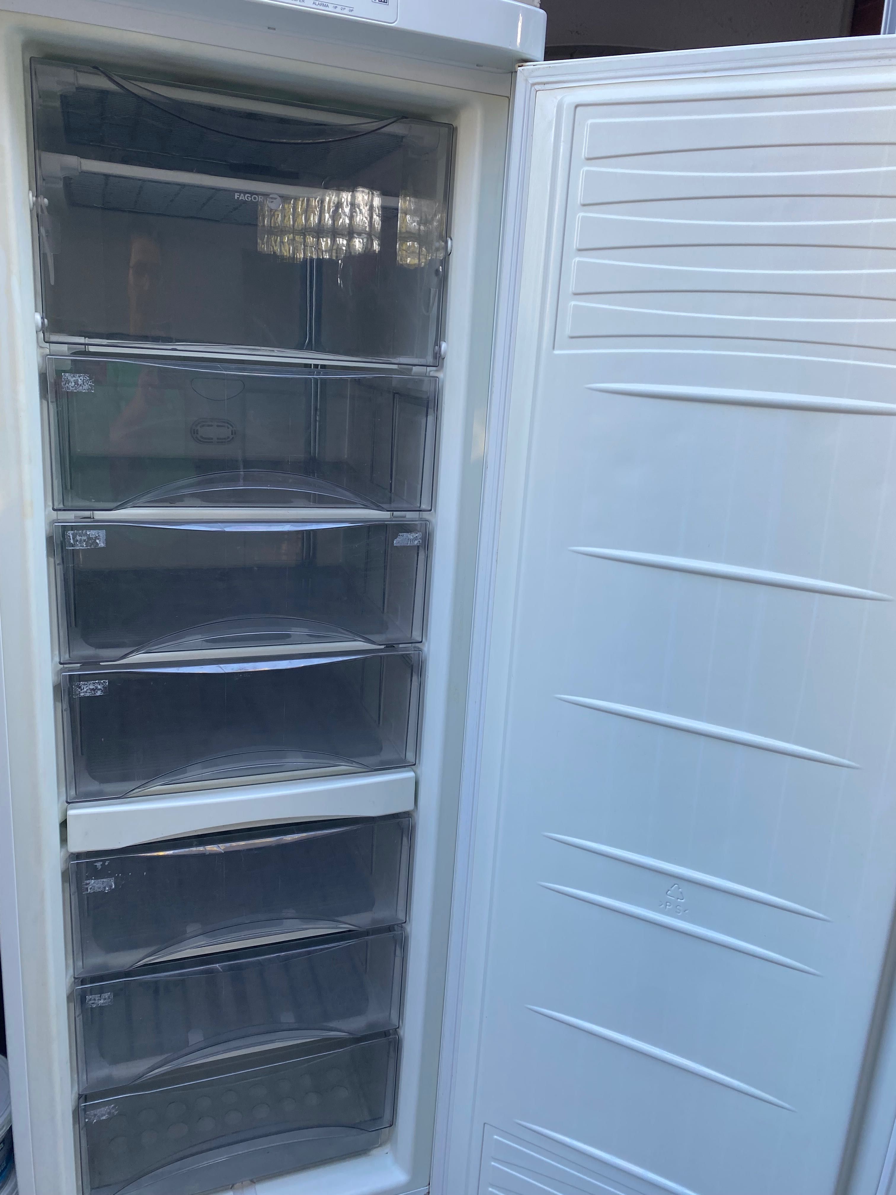 Arca frigorífica vertical Fagor (180cm)