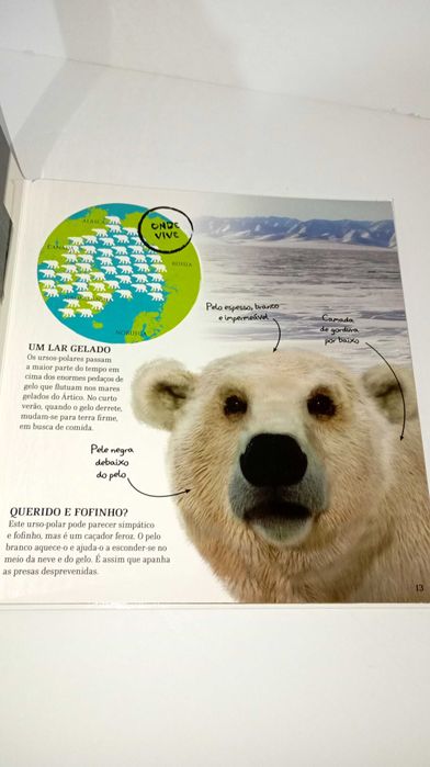 Os Incríveis Animais Selvagens Gigantes - RESERVADO