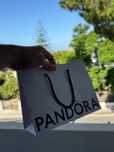 Mistery box de pandora joias +169€