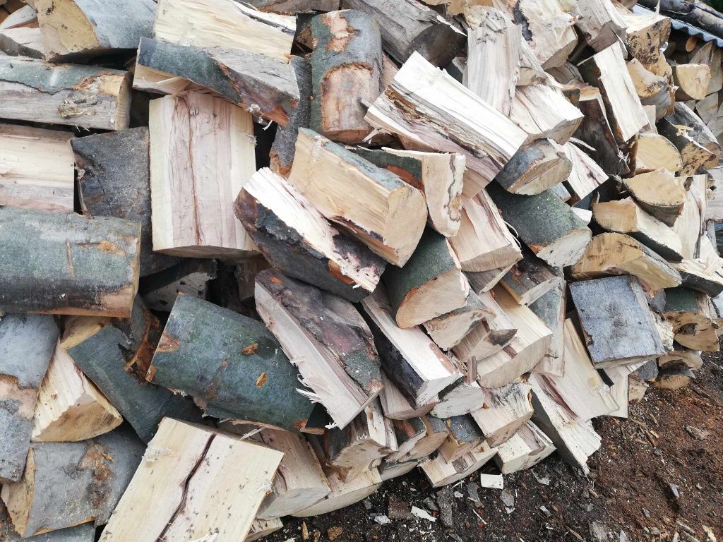 Drewno opałowe/kominkowe,stemple,paliki