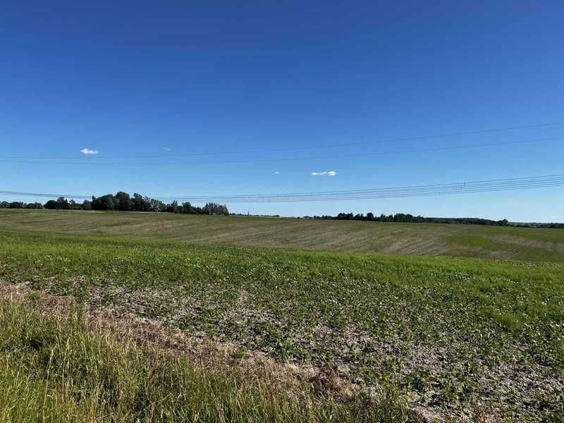 Оренда С/Г ділянки 14,3га с. Панасівка