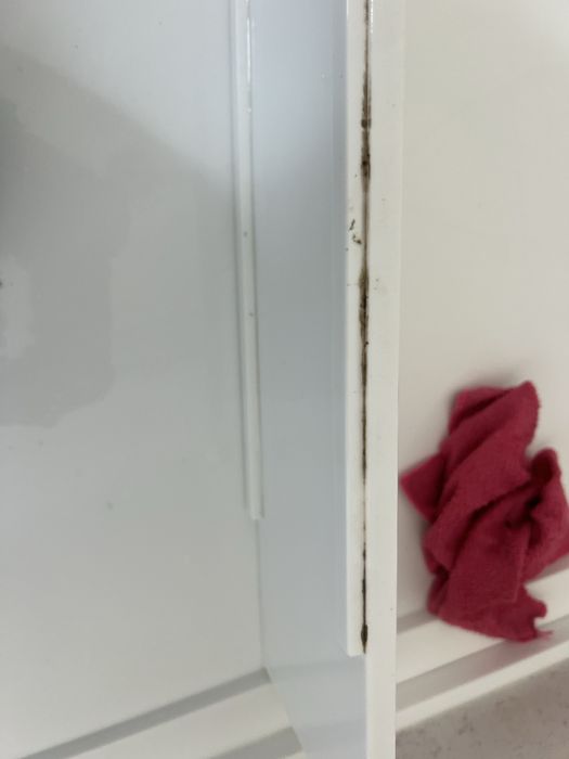 Faco trabalhos domesticos