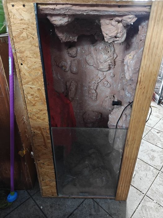 Terrarium agama wąż jaszczurka chomik