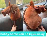 Horse Koń Na Patyku Kiju Zabawka Głowa Konia Hobby Konik Z Grzywą