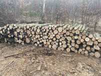 Продам дрова різних порід  колоті (1300)
