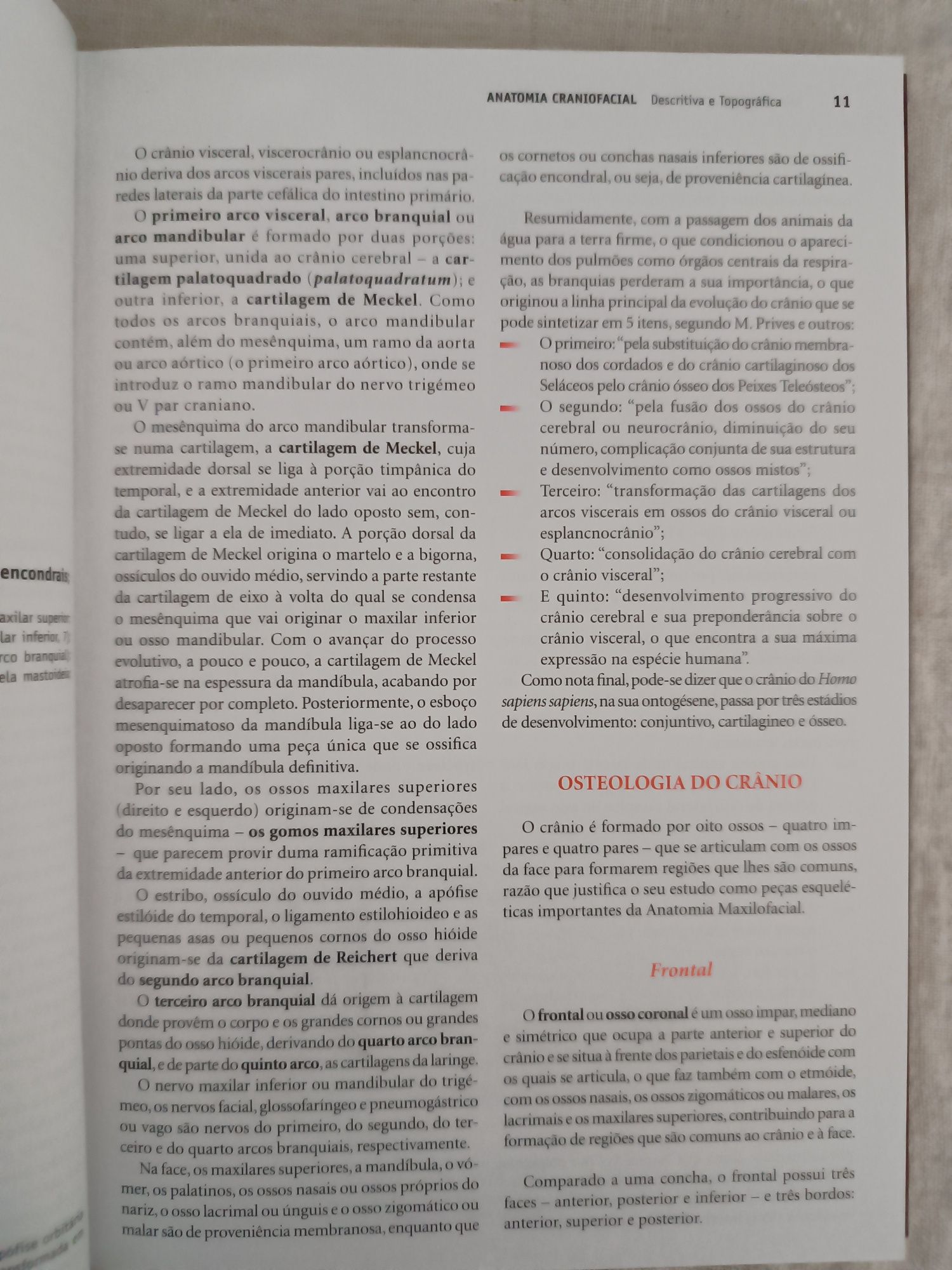 Livro "Anatomia Craniofacial, Descritiva e Topográfica"