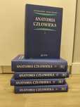Anatomia człowieka Bochenek i Reicher