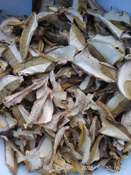 Гриби боровики жовті сушені