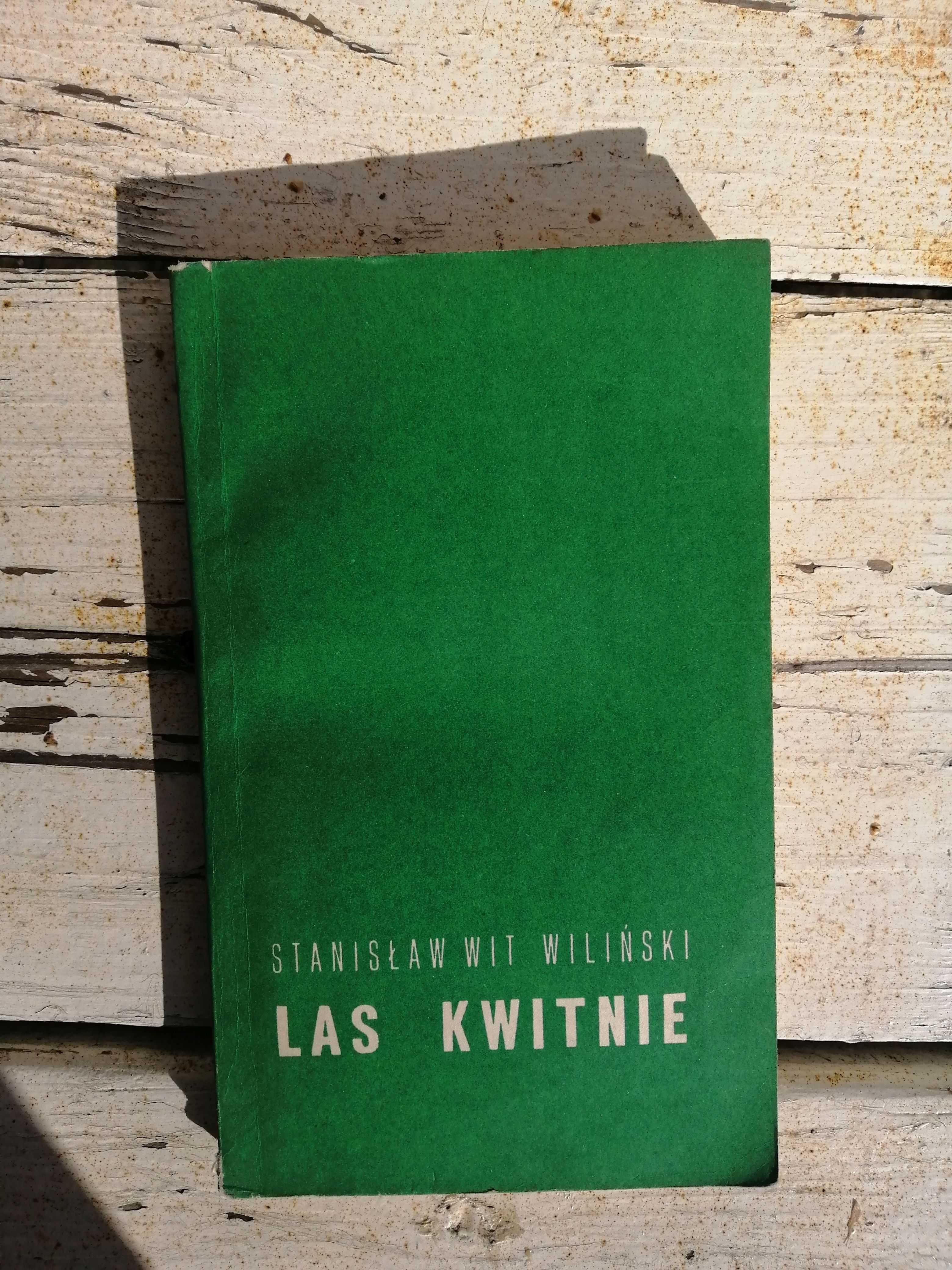 Stanisław Wiliński - Las Kwitnie