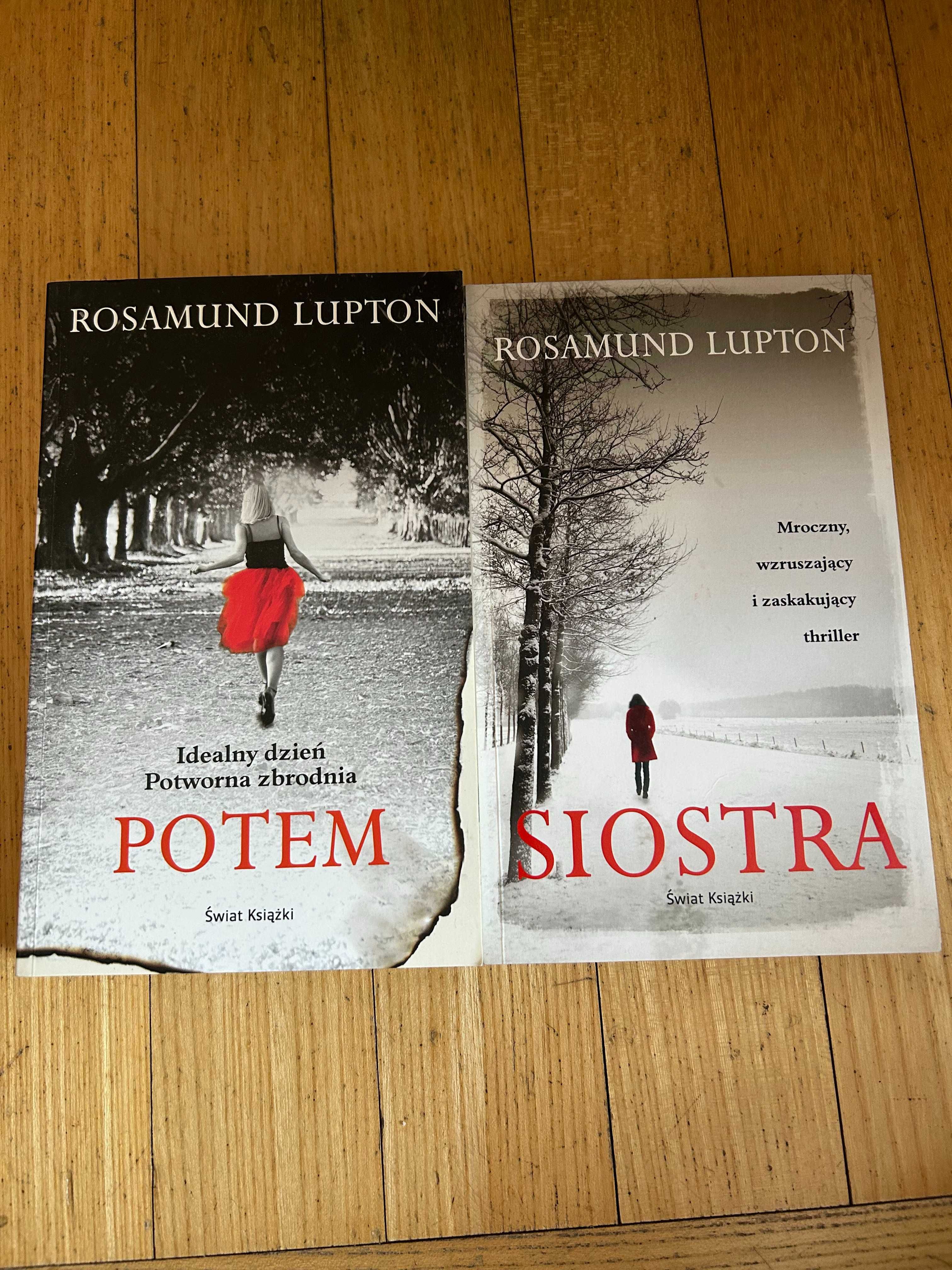 Rosamund Lupton Siostra, Potem