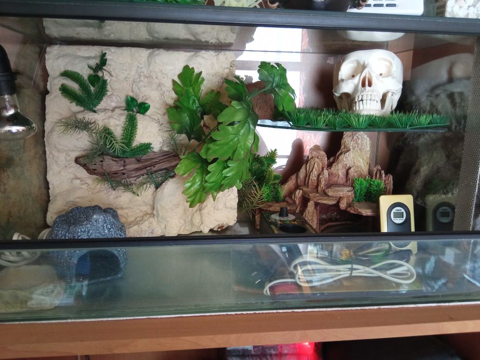 Terrarium dla gekona