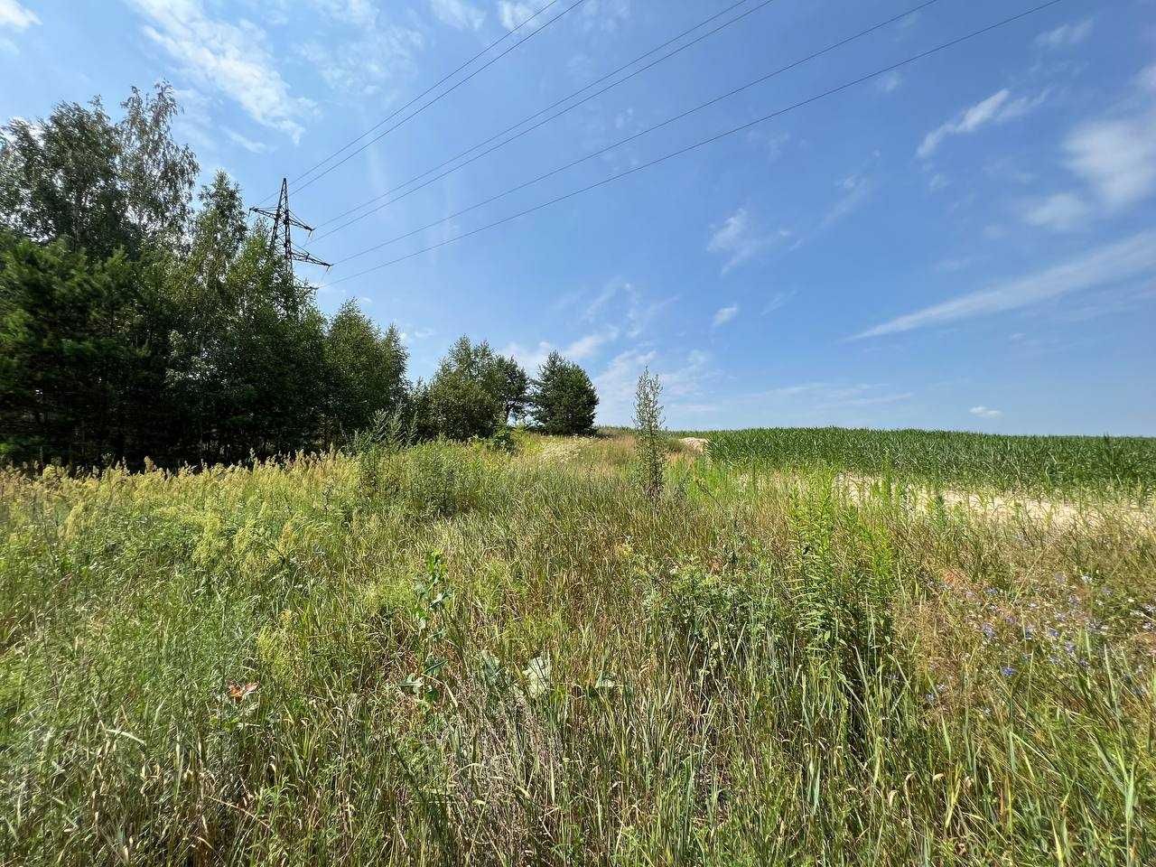 Продаж ділянки 3,11га (ОСГ). Поруч каскад озер.Фастівський р-н. ID:446