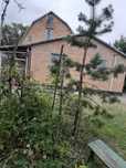 Продам дом в экологически чистом районе. Лес .Орель.