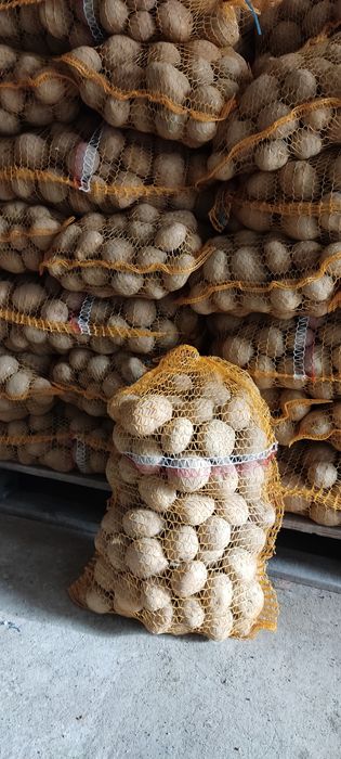 Ziemniaki jadalne Vineta/Denar/Bellarosa