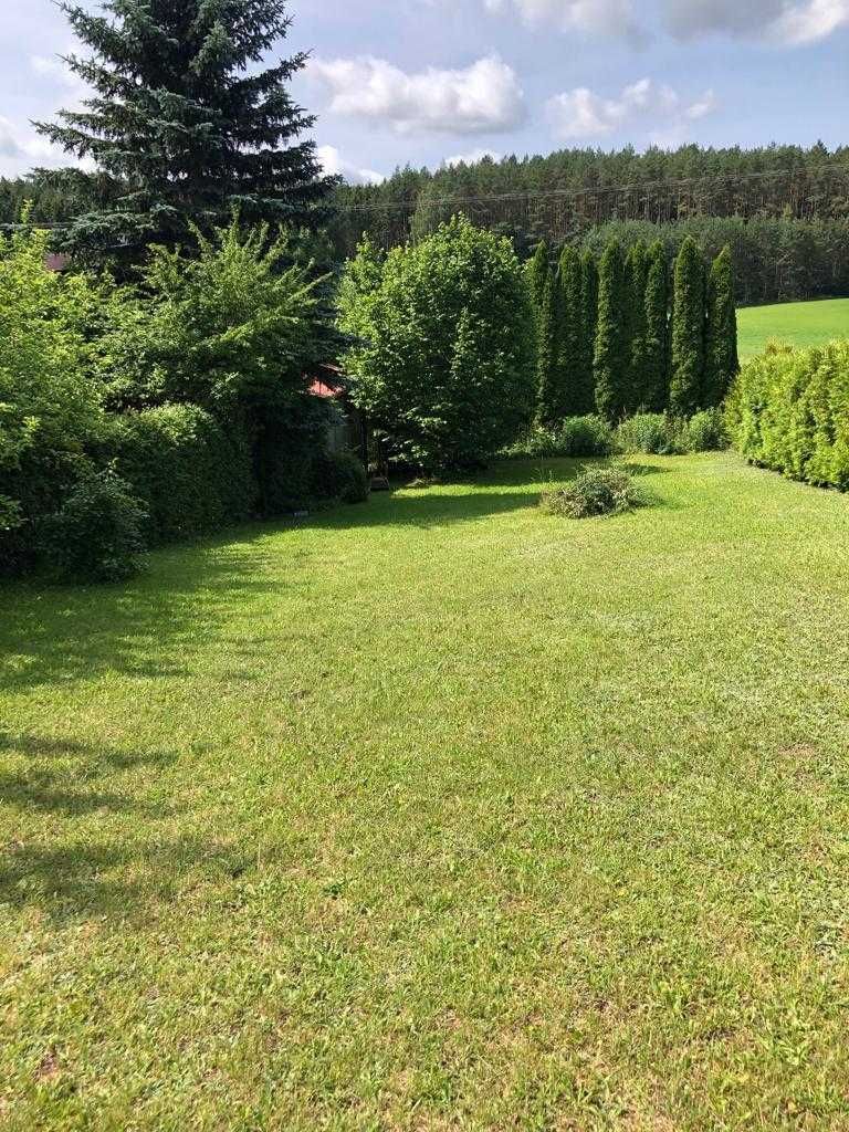 Uroczy domek z kominkiem w otoczeniu lasu i jeziora