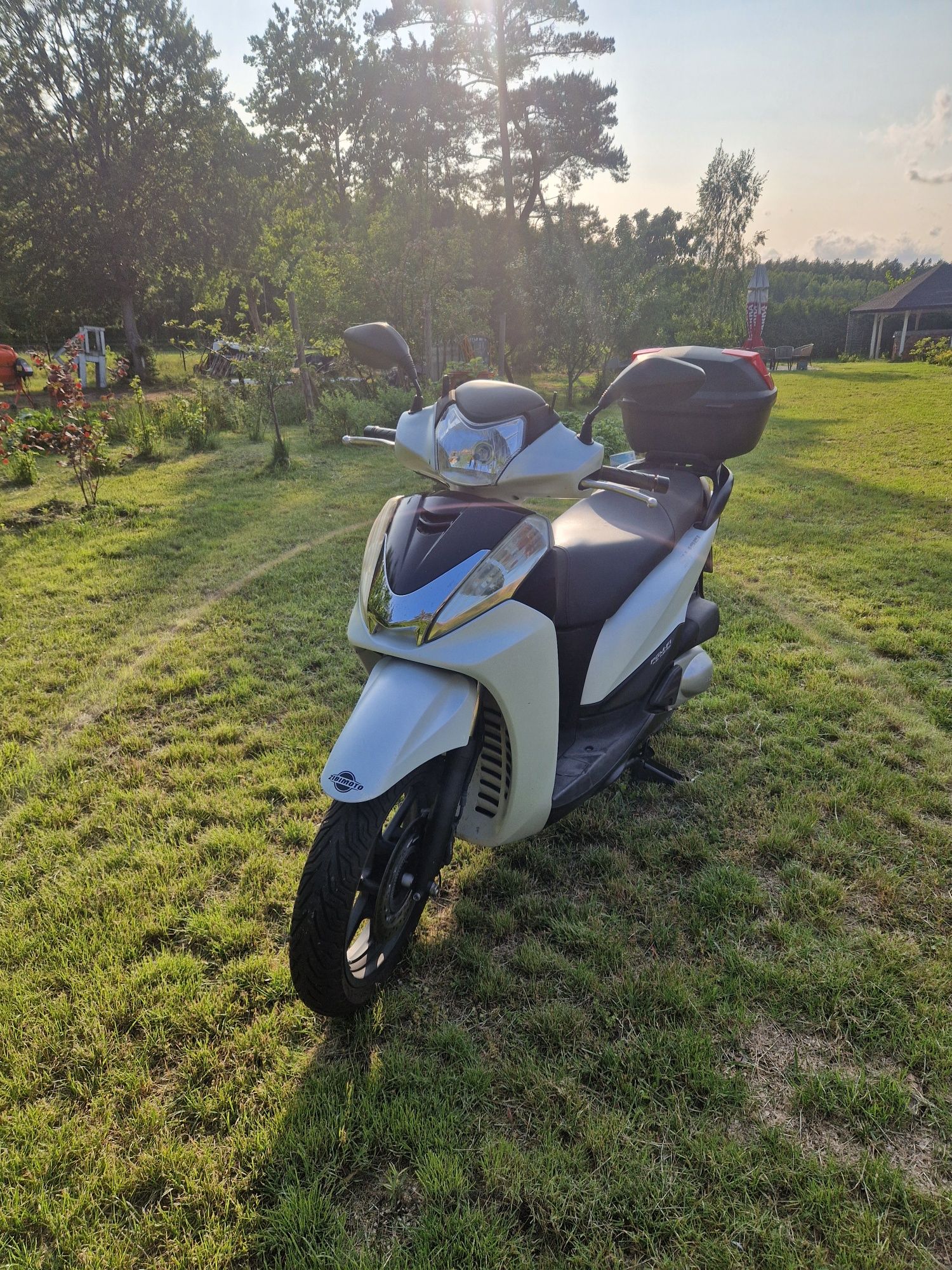 Honda sh300i z 2013r