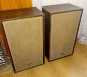 Kolumny Pioneer SCS-11