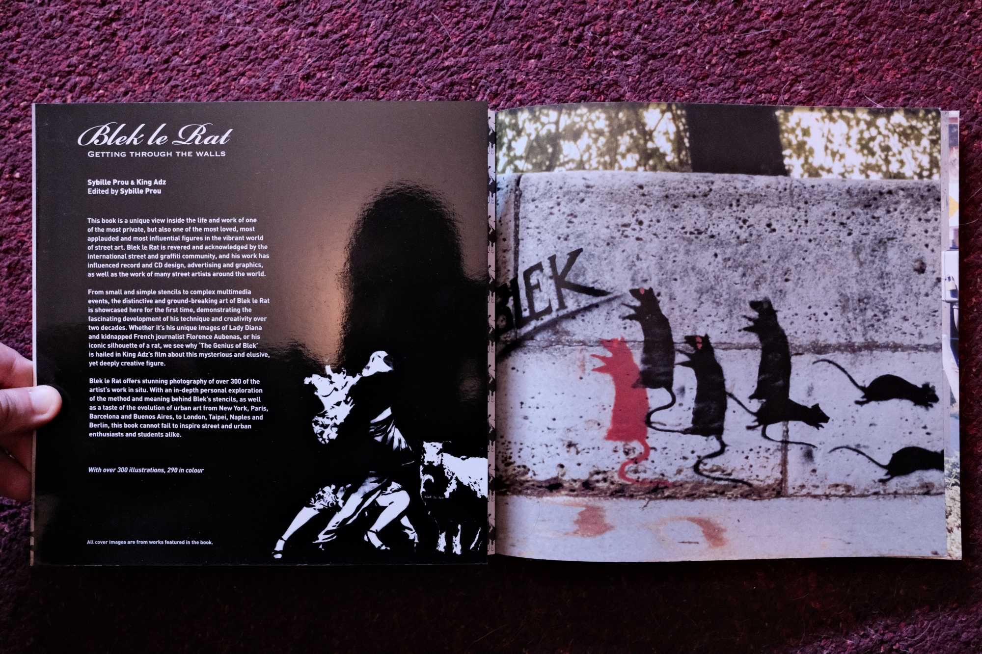 'Getting Through the Walls', Blek le Rat (2008)