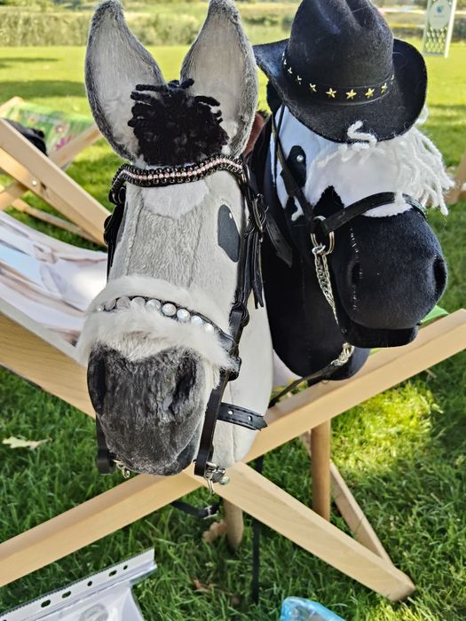 Łaciaty Hobby Horse A4