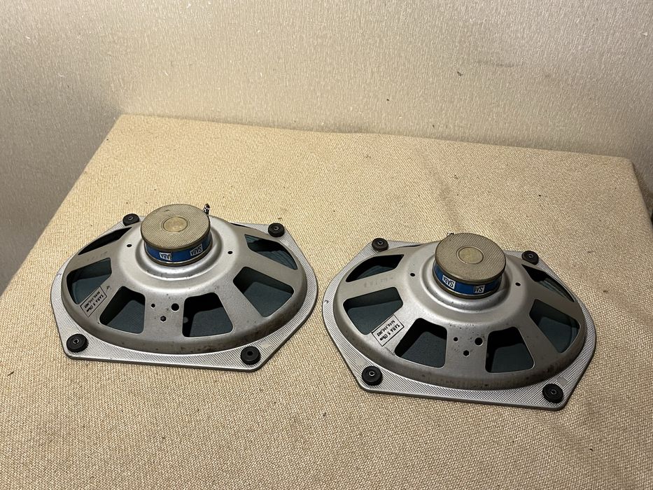 Аудиофильские 240х180мм ШП динамики 50-х SABA GREENCONE