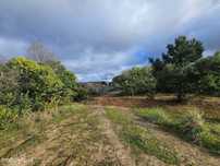 Terreno Exclusivo na Quinta do Pinheiro – Caldas da Rainha