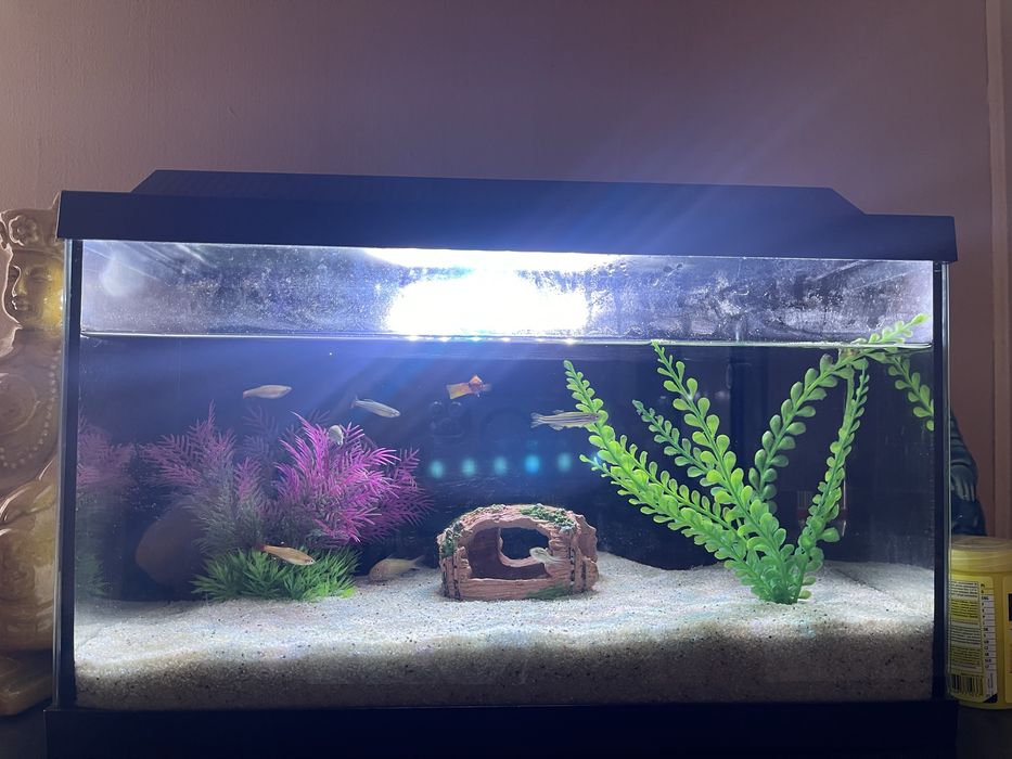 Aquario completo