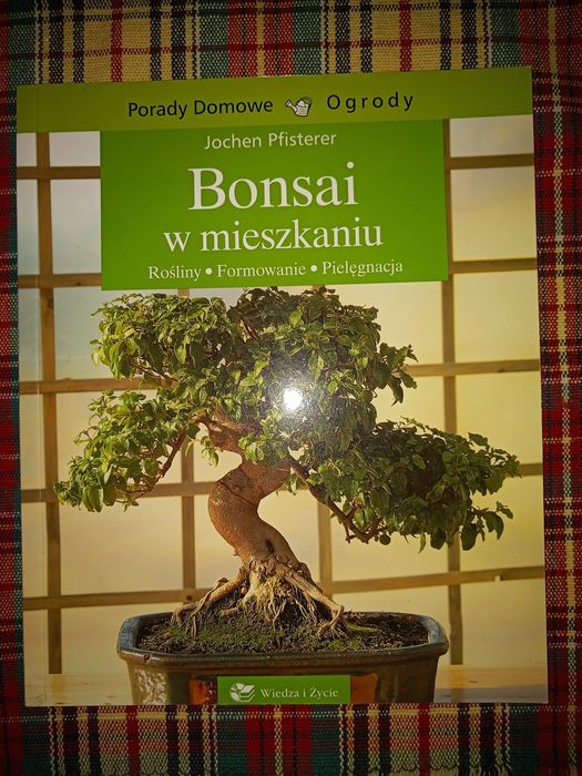 Bonsai w mieszkaniu, formowanie i pielęgnacja
