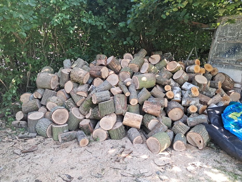 Witam Sprzedam drzewo  tanio