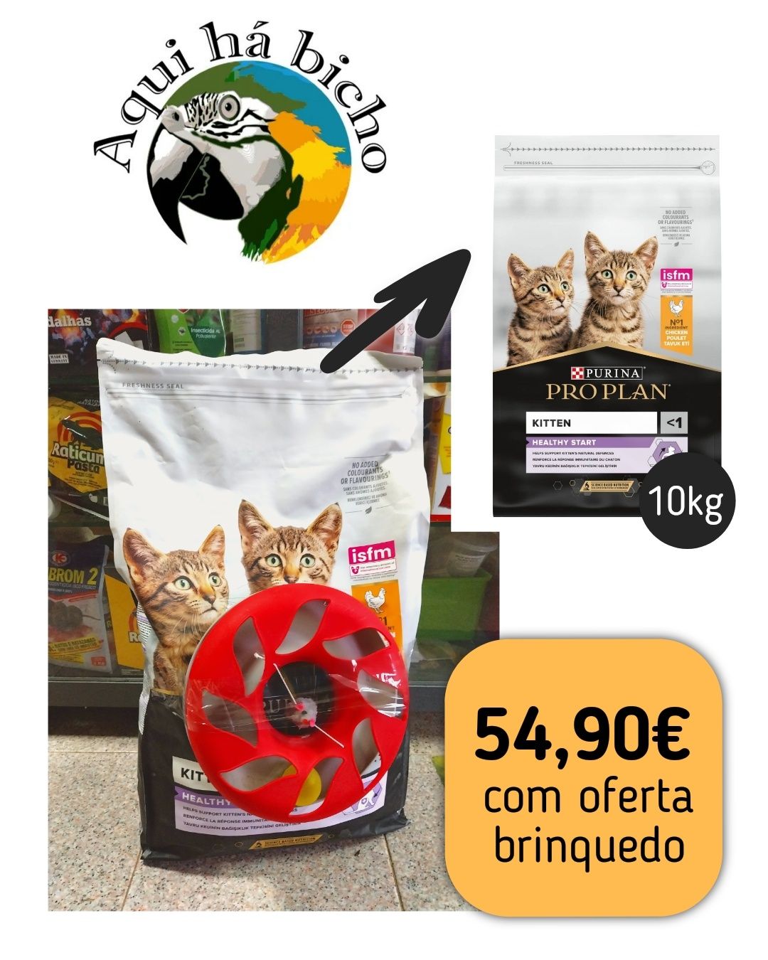 Proplan kitten 10kg com oferta
