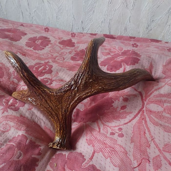 Рога оленя в гарному стані