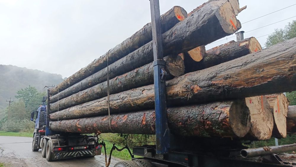 Drewno tartaczne jodła, sosna