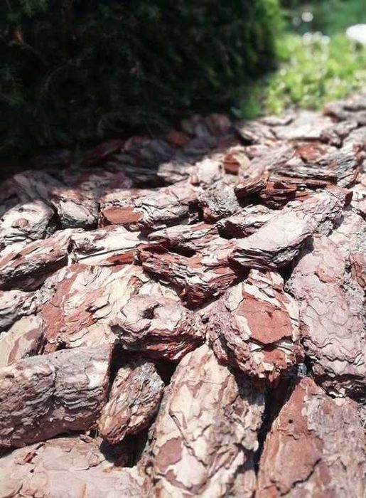 Kora sosnowa sortowana, różne frakcje uniwersalna/gruba/drobna  EXTRA