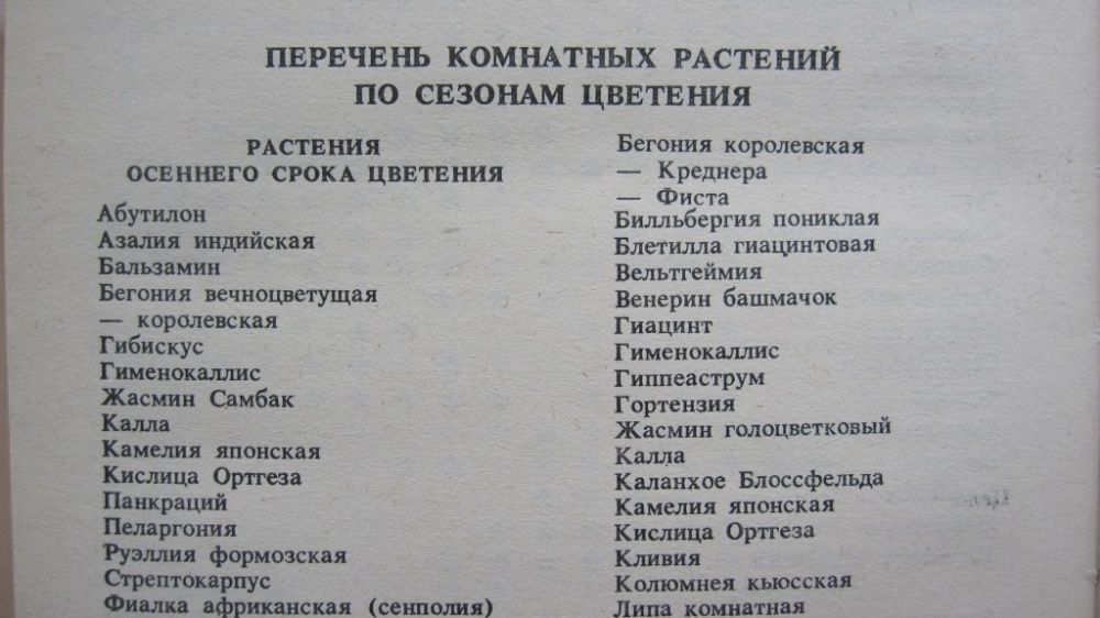 Комнатные растения цветы в квартире книга справочник