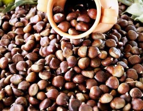 Castanhas 2,5€ Kg