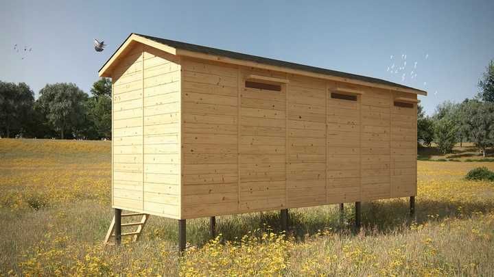 Gołębnik wolnostojący konstrukcja wloty przegrody gont 250x600 20mm